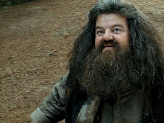 hagrid rubeus harry potter