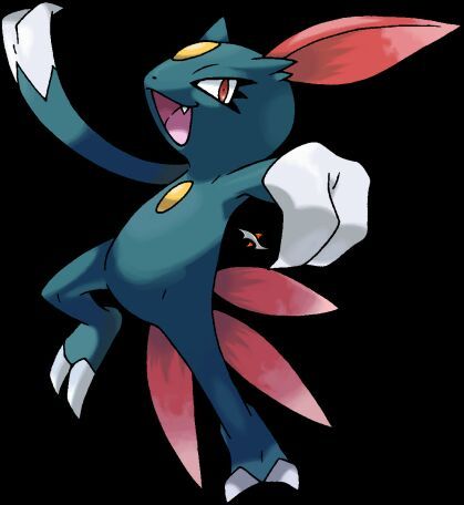 Sneasel | Wiki | Pokémon Amino