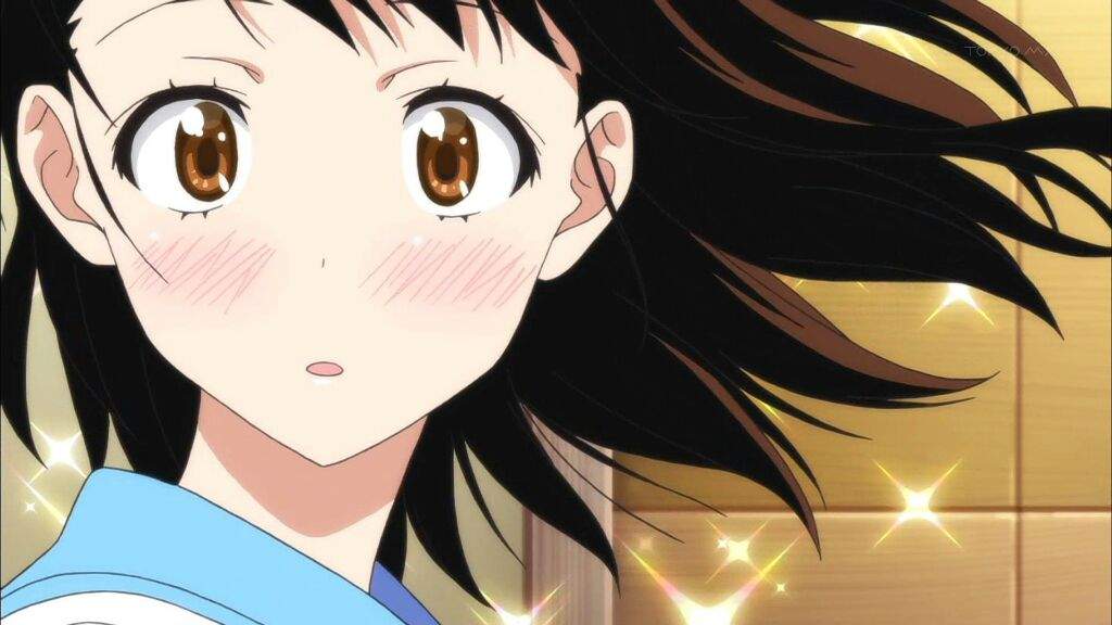 Anime Doppelganger : Nisekoi | Anime Amino