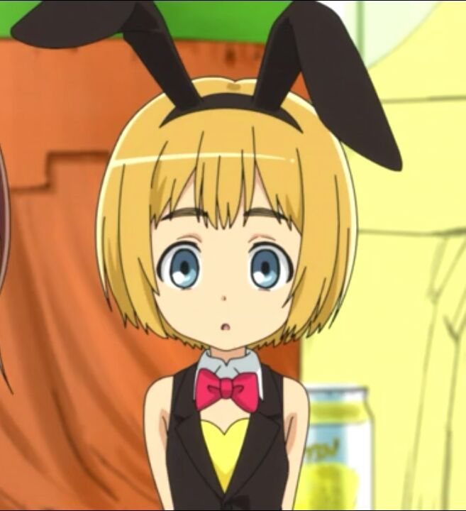 Kawaii Bunny Armin | Anime Amino