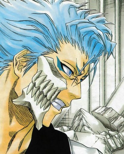 Grimmjow Jaegerjaquez | Wiki | Anime Amino