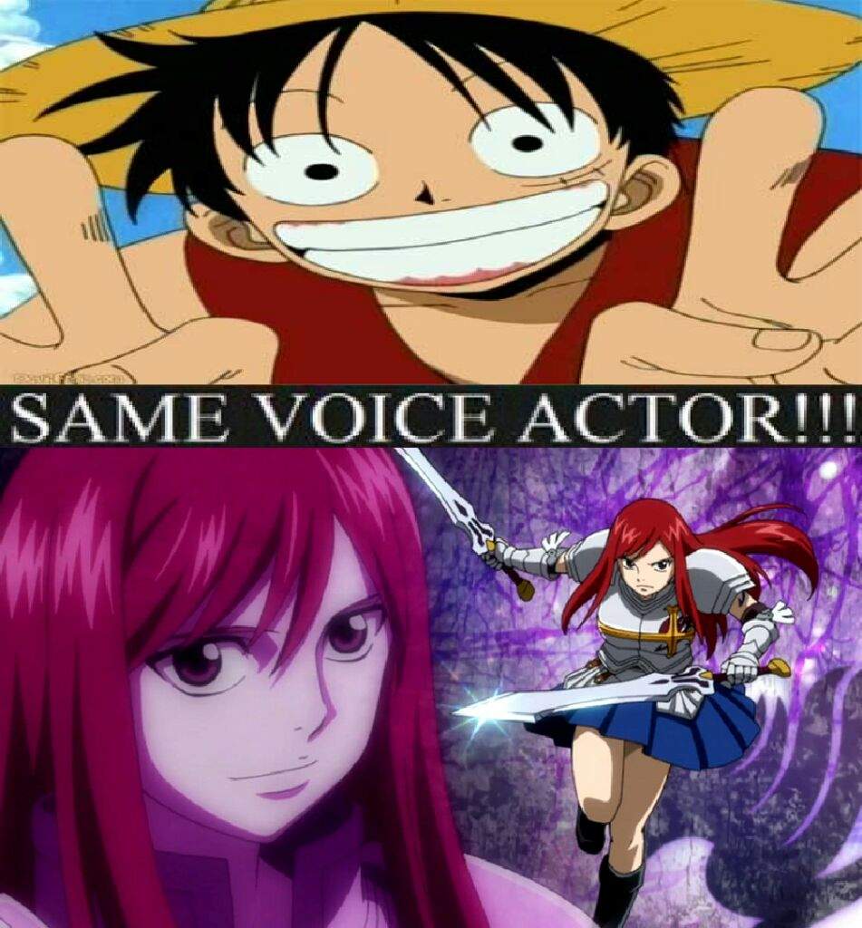 Erza Meme Anime Amino