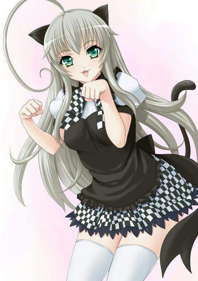 nyaruko bunny