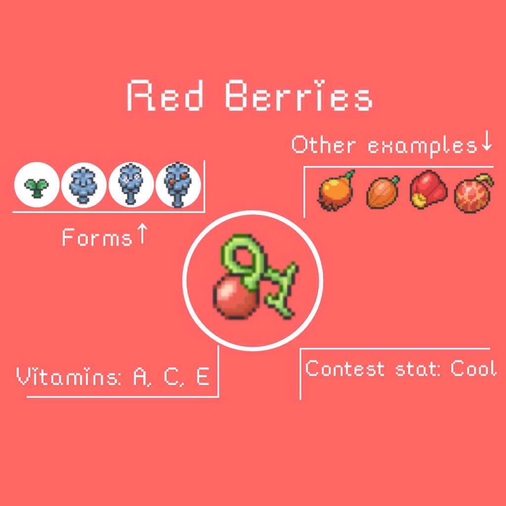 ⌜The Benefits of Berries⌟ Pokémon Amino