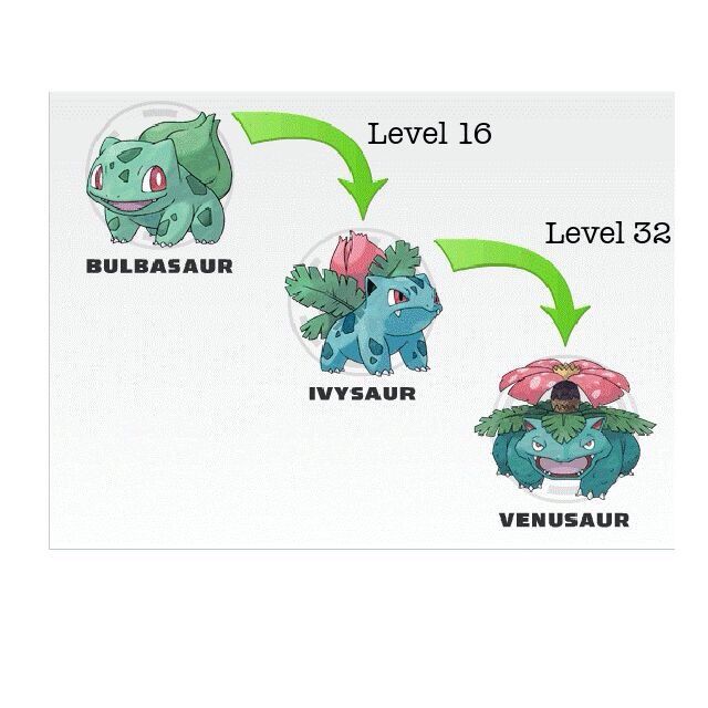 Bulbasaur | Pokémon Amino