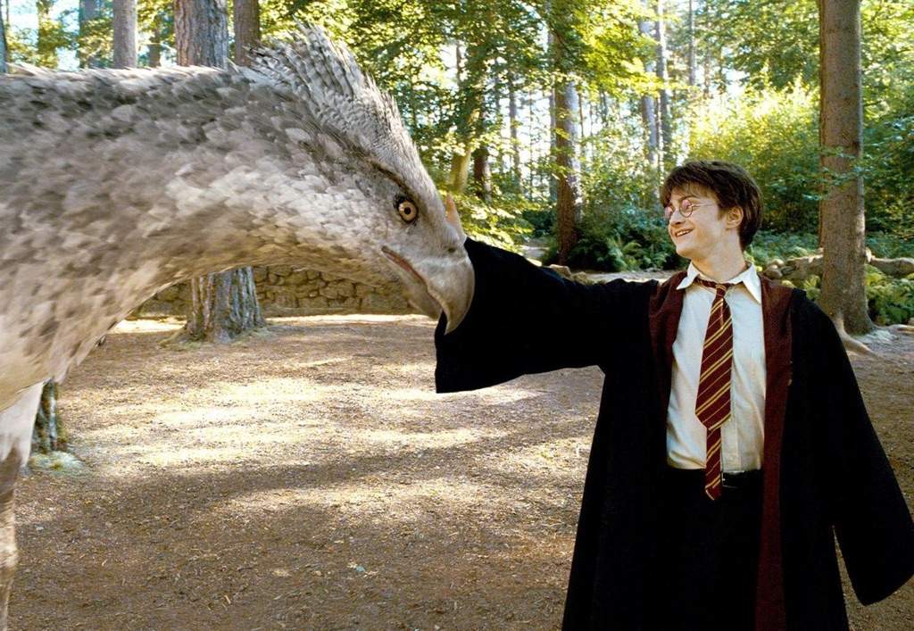 buckbeak teddy