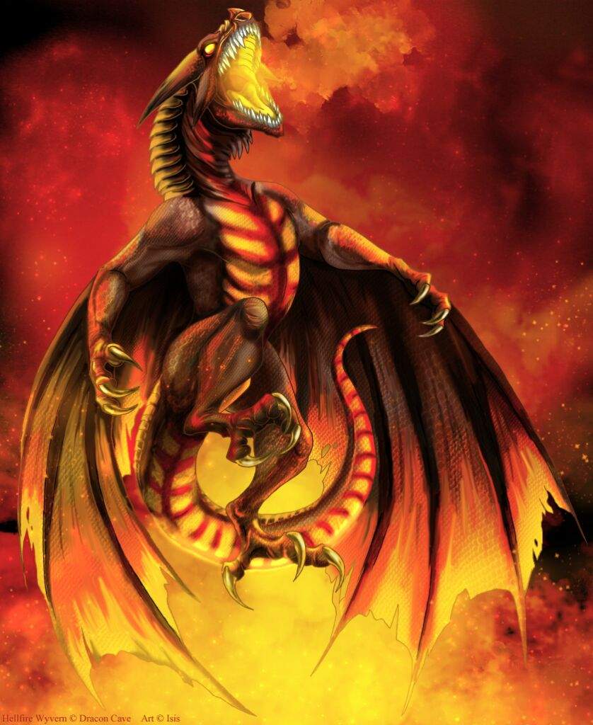 Good and bad dragons | Wiki | Anime Amino