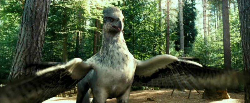 buckbeak teddy