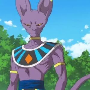 Saitama Vs Beerus | Anime Amino