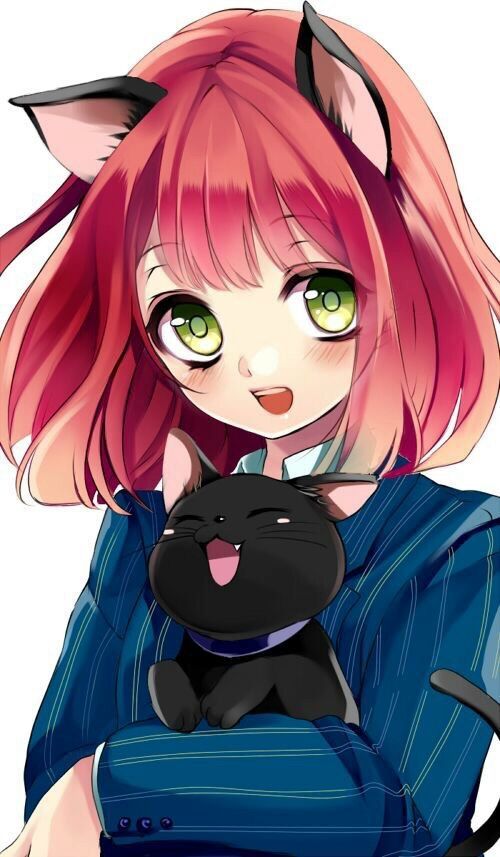 Join The Neko Adoption Anime Amino