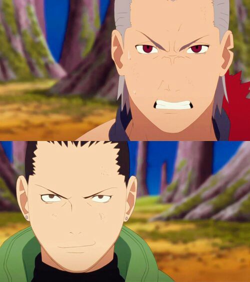 shikamaru vs akatsuki