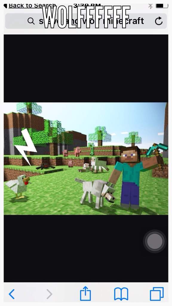 its-my-first-time-here-so-i-got-a-wolf-in-minecraft-minecraft-amino