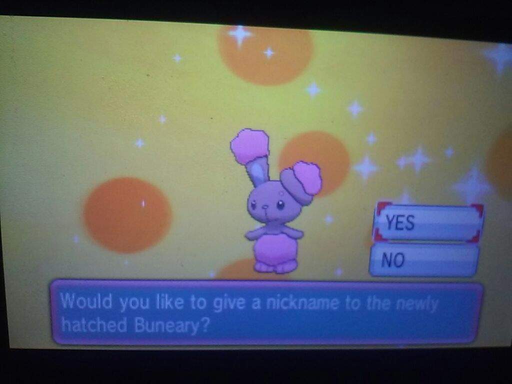 Shiny Buneary after 1008 eggs! | Pokémon Amino