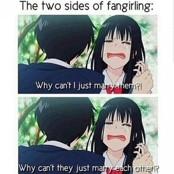 Two Sides of Fangirling | Anime Amino