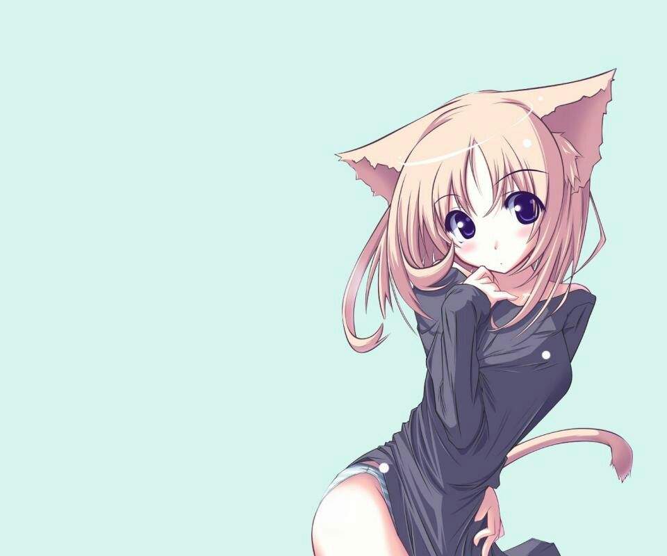 Anime cat girl pictures