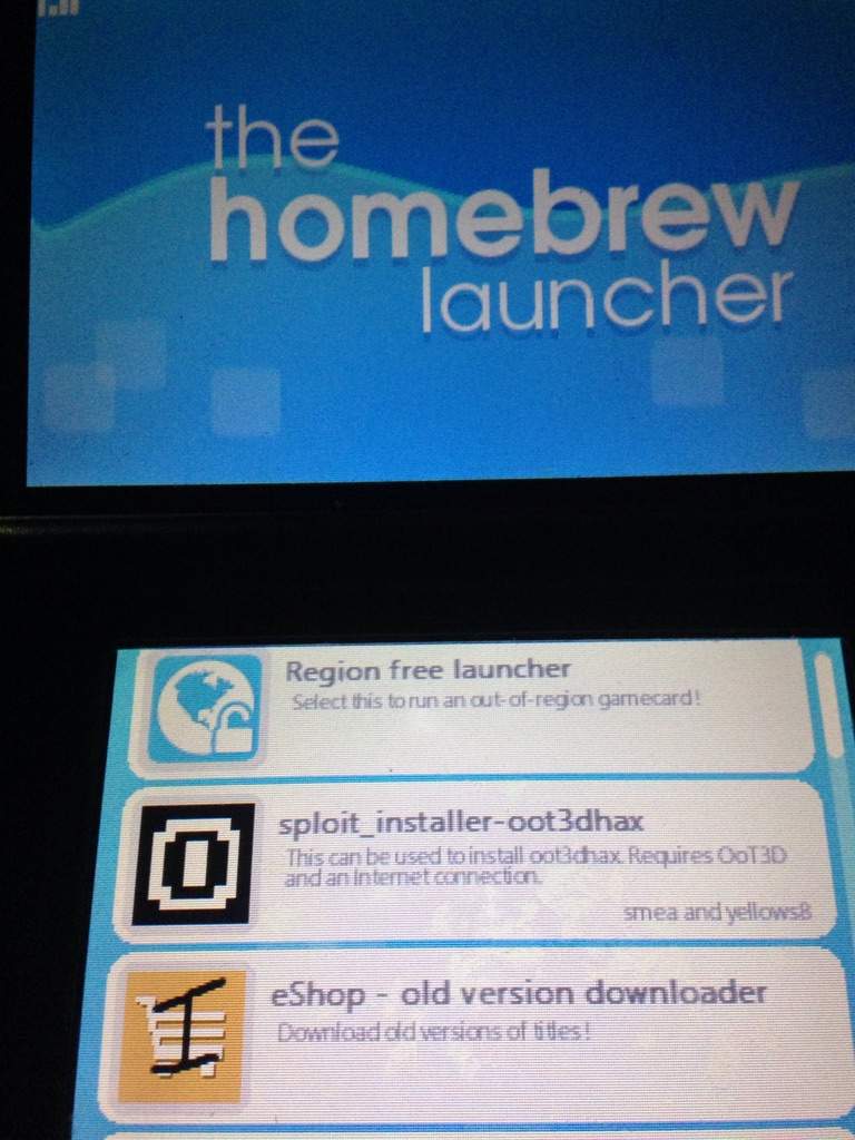 save manager homebrew 3ds 10.0