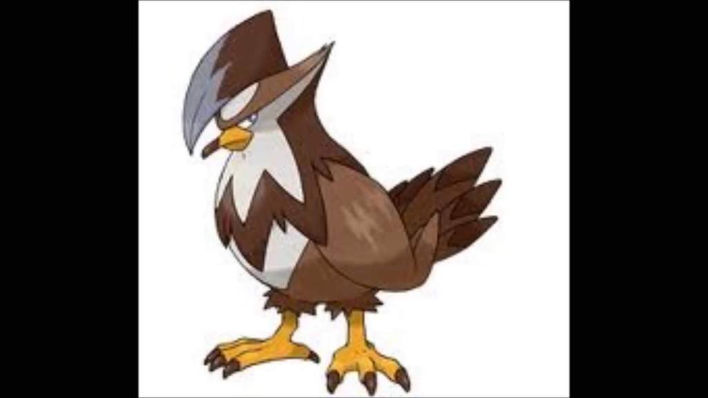 WANTED: SHINY STARLY STARAVIA, OR STARAPTOR | Pokémon Amino