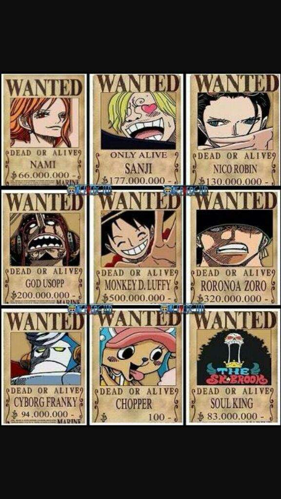 30 One Piece Facts That Every Fan Should Know Anime Amino