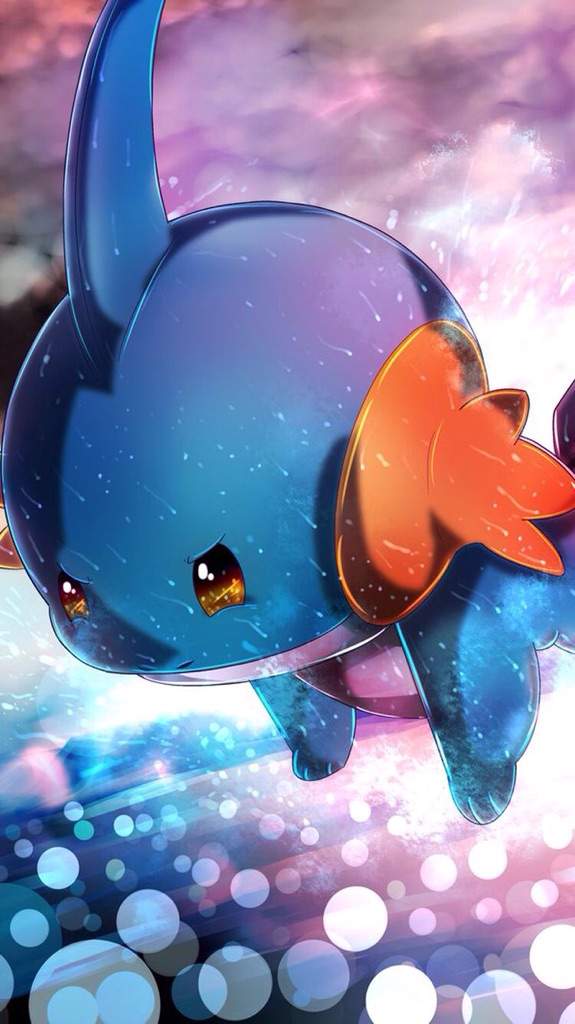 Mudkip Wallpaper | Pokémon Amino