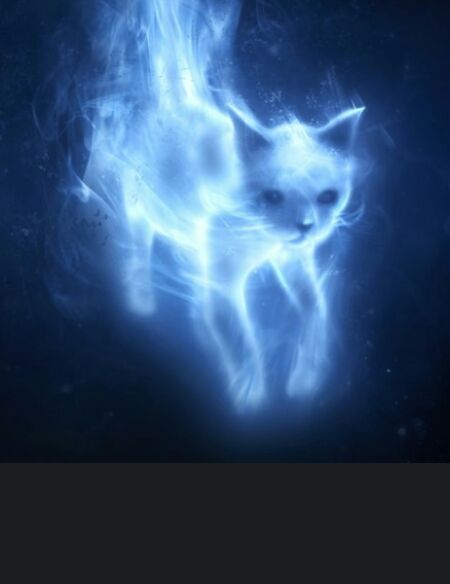 Patronus Test Harry Potter Amino