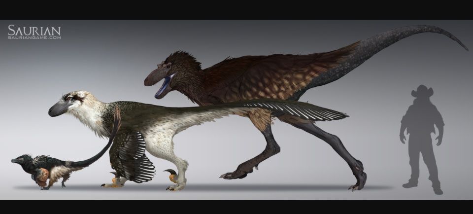 dakotaraptor skeleton