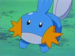 Resultado de imagen para mudkip face