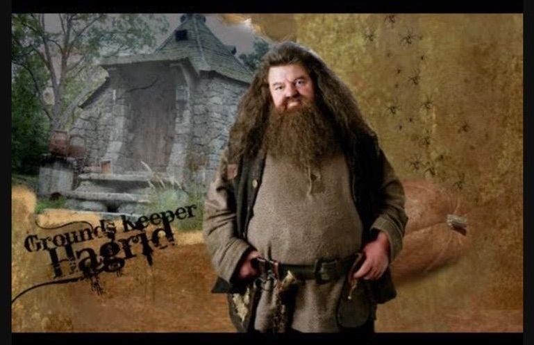 Rubeus Hagrid | Wiki | Harry Potter Amino