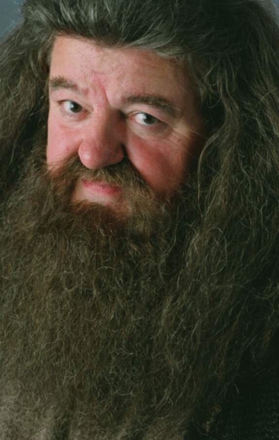 harry potter hagrid fang