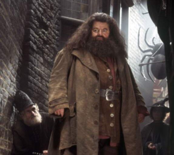 Rubeus Hagrid | Wiki | Harry Potter Amino