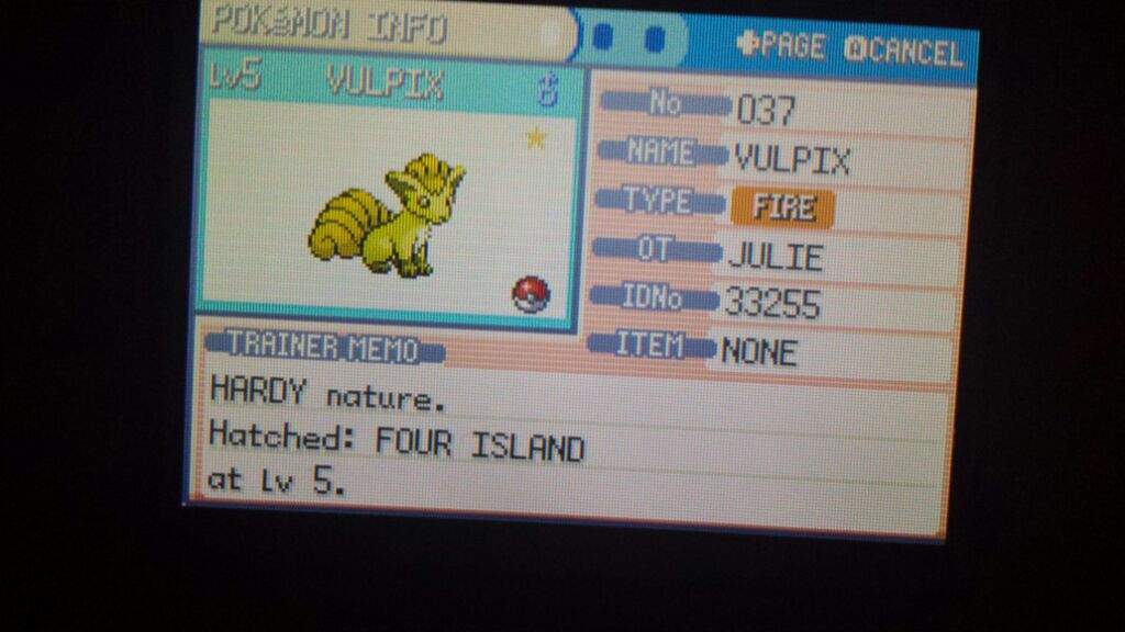 Random Shiny Vulpix On Leafgreen While Hatching Eggs Pokemon Amino