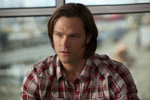 sam winchester purple dog shirt