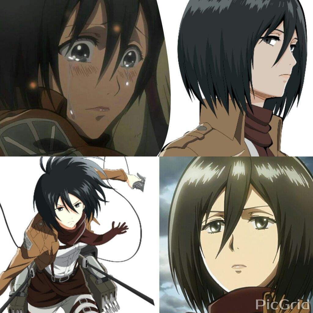 Annie vs Mikasa who you think is more Pretty ..!? | Anime Amino