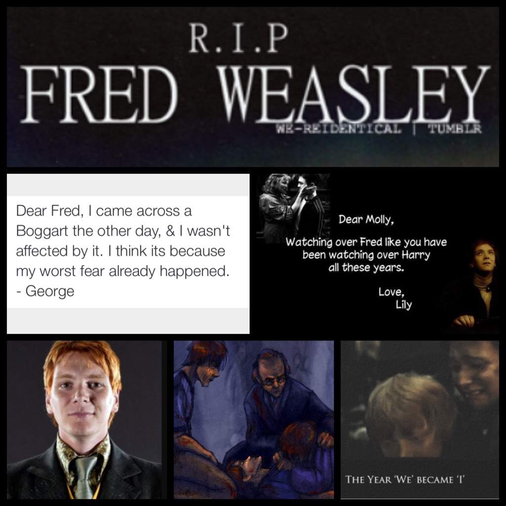 Fred Weasley | Harry Potter Amino