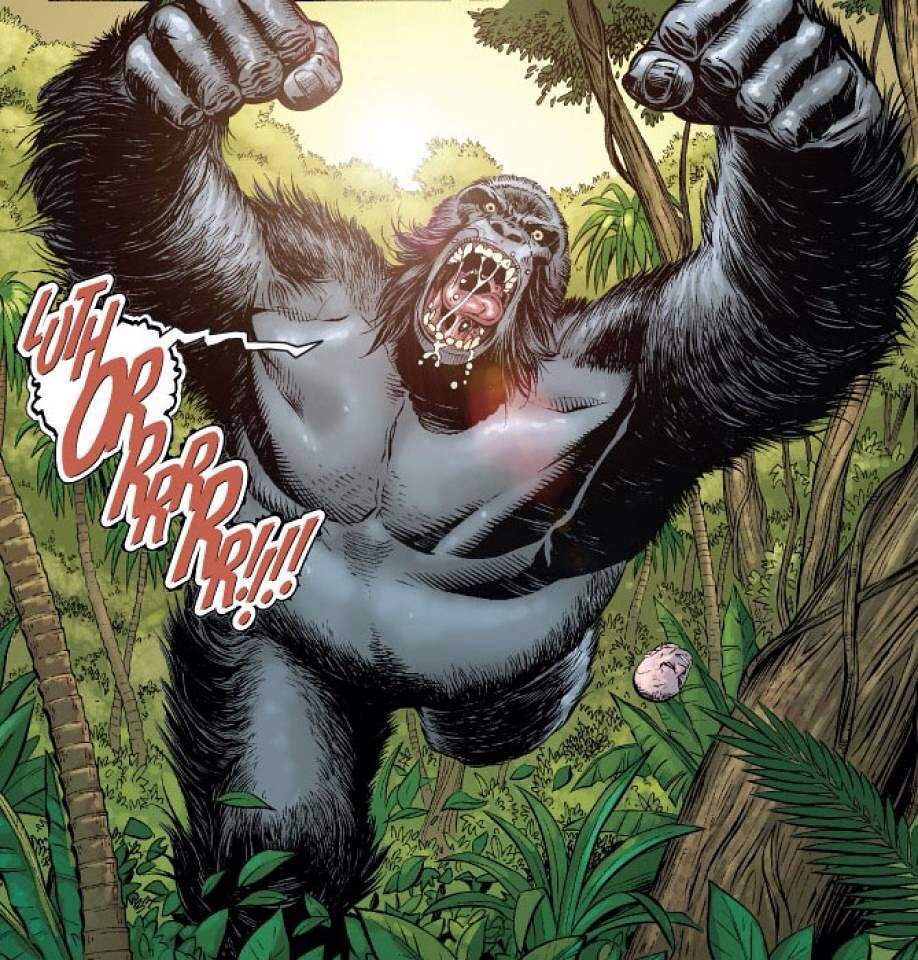 Gorilla Grodd Wiki Comics Amino 9625