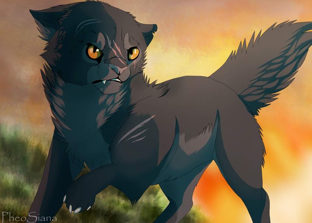 Warrior cat of the day is yellowfang! | Books & Writing Amino