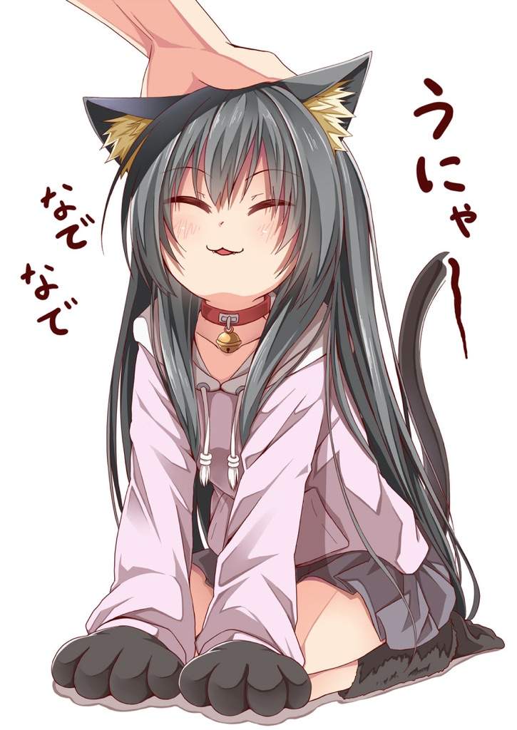 A wee selection of my favourite neko pictures and gifs i have saved.
