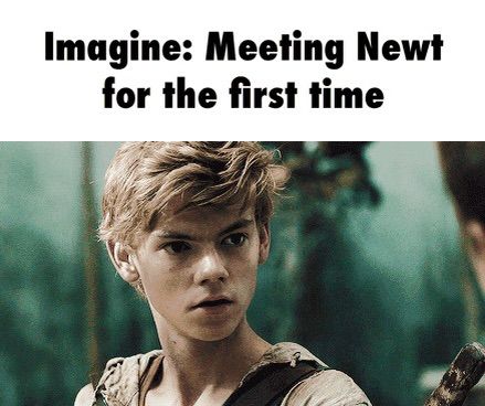 Newt Imagines | Movies & TV Amino