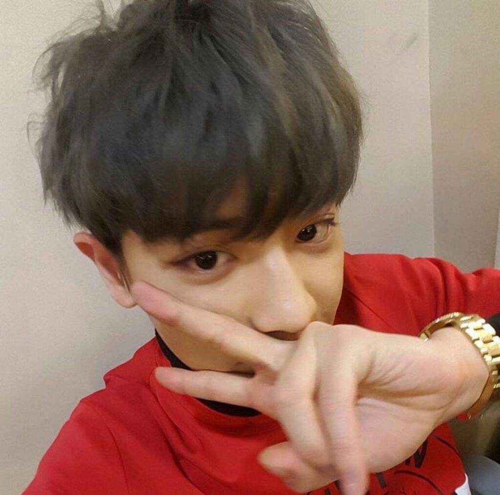 Chanyeol S Hair Is Grey Again K Pop Amino