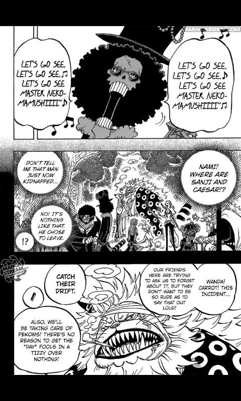 One Piece Chapter 814 Let S Go See Master Nekomamushi Anime Amino