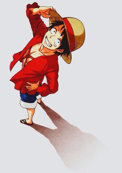 monkey d luffy pirate king