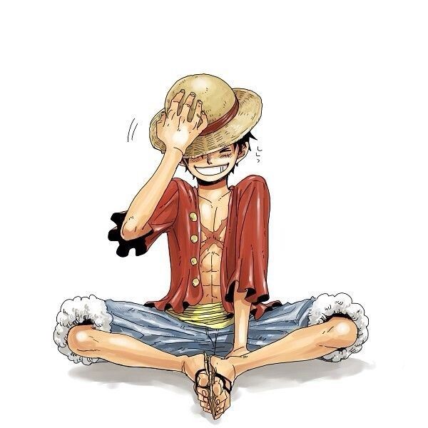 luffy pirate king