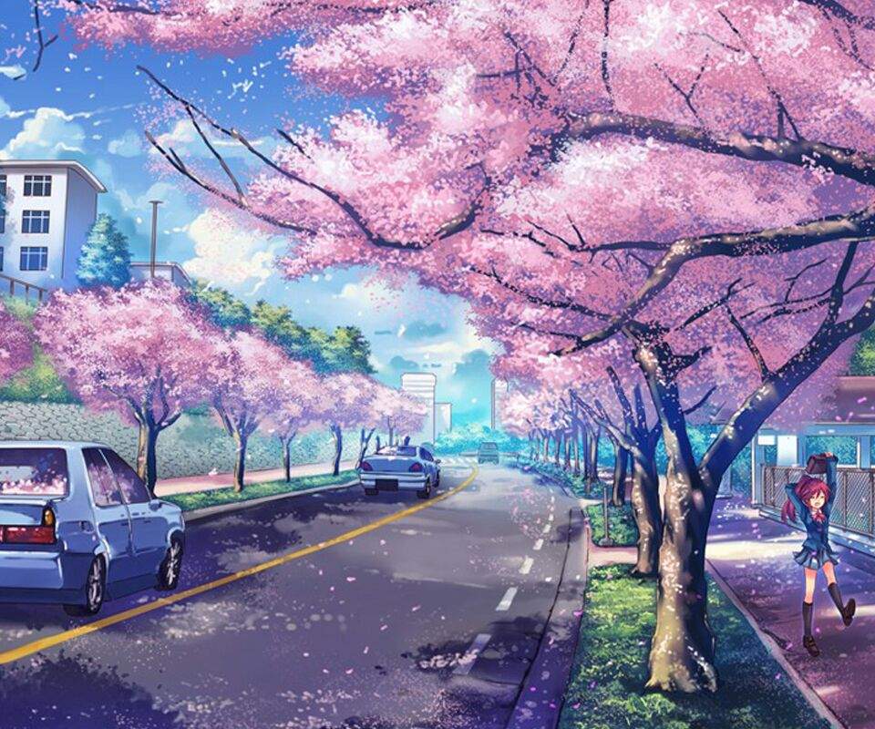 Sakura blossom | Wiki | Anime Amino