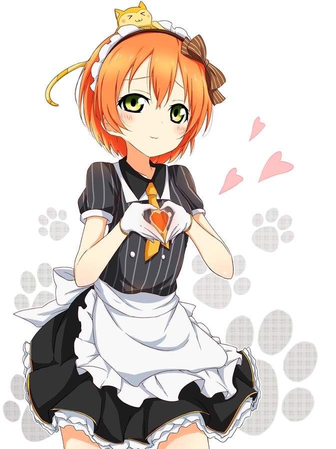 winter live rin