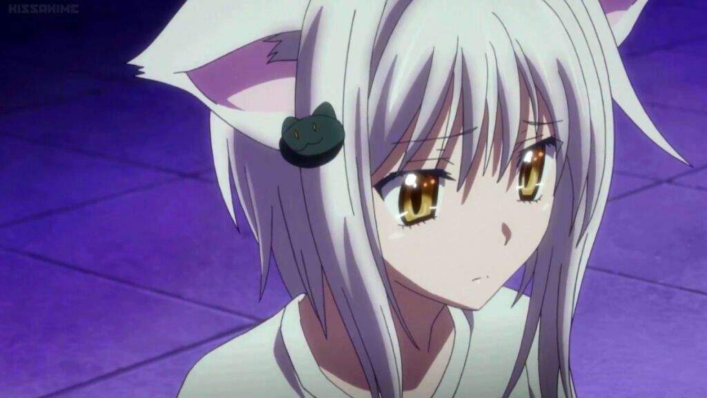 Koneko Toujou | Wiki | Anime Amino