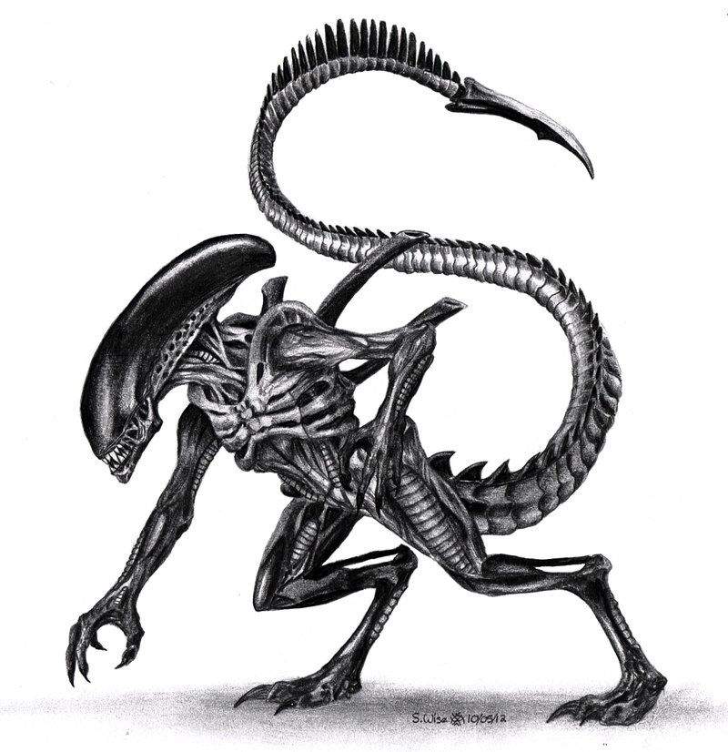 XENOMORPH | Horror Amino