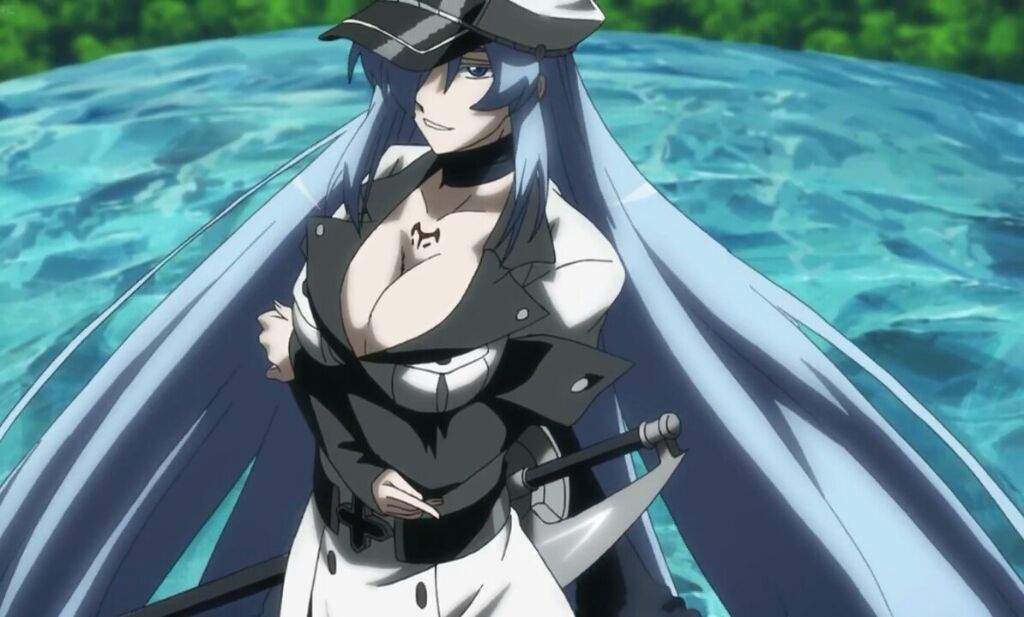 Character Spotlight: Esdeath | Anime Amino