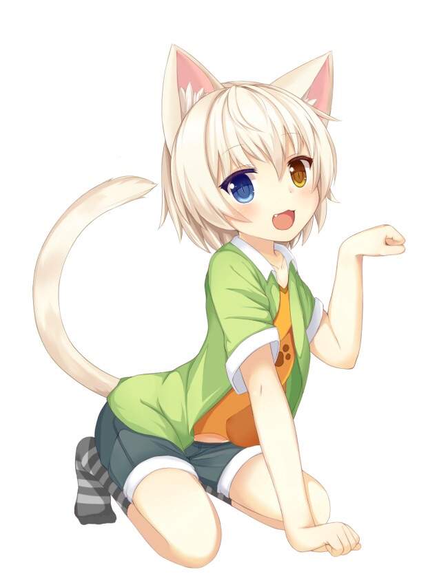 Loli Collection 1 | Wiki | Anime Amino