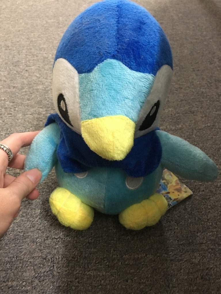 Piplup plushie | Pokémon Amino