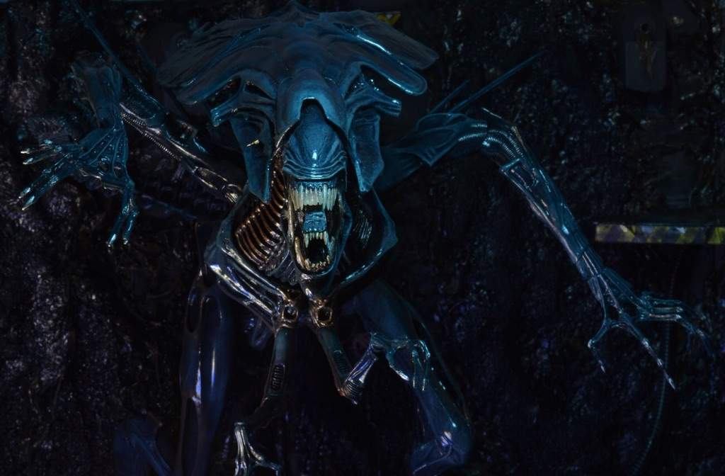 Alien (Xenomorph) | Horror Amino