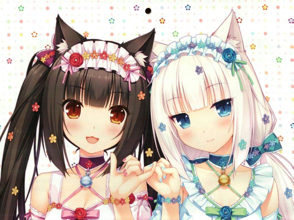 Catgirls ♡-♡ | Wiki | Anime Amino